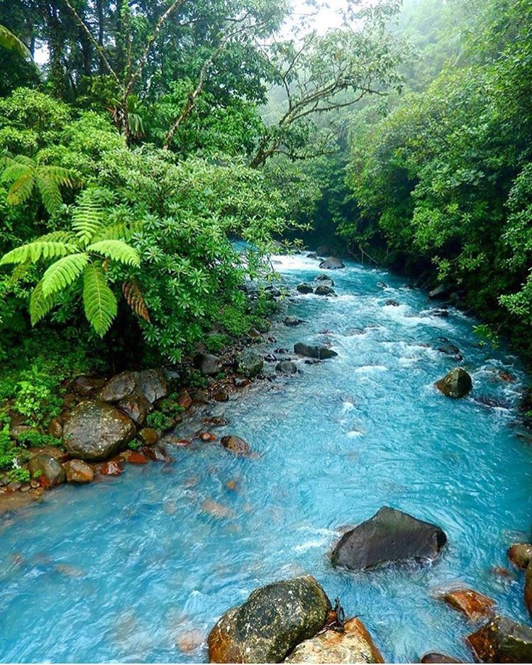 Costa Rica Dry Season