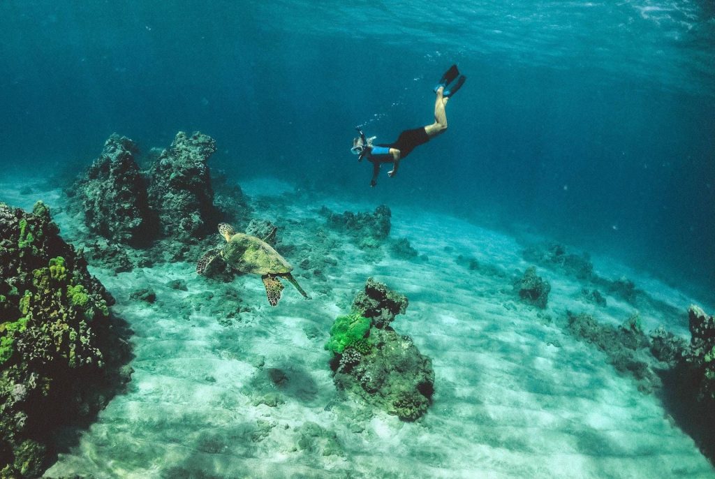 Snorkelling costa rica